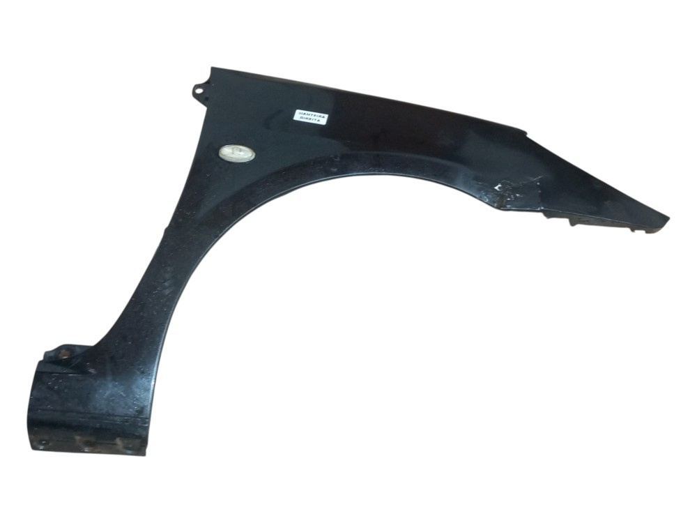 Paralama Peugeot 307 2002 2008 Dianteiro Direito C Detalhe 1