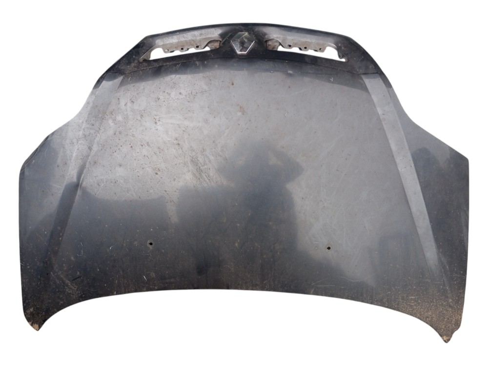 Capo Renault Scenic 2002 2003 2004 1