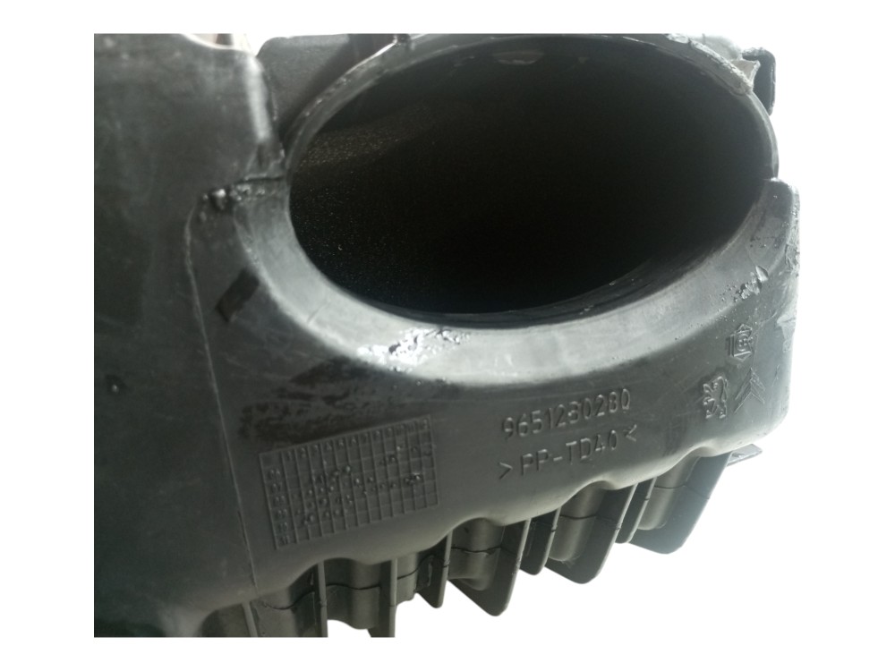 Caixa Filtro Ar Citroen C4 Pallas 2.0 2008 2009 2010 2012 8