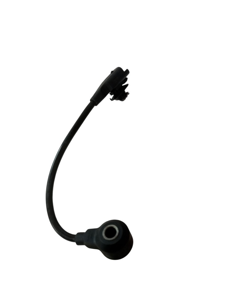 Sensor Detonacao Citroen C4 Pallas 2008 2009 2010 2011 4
