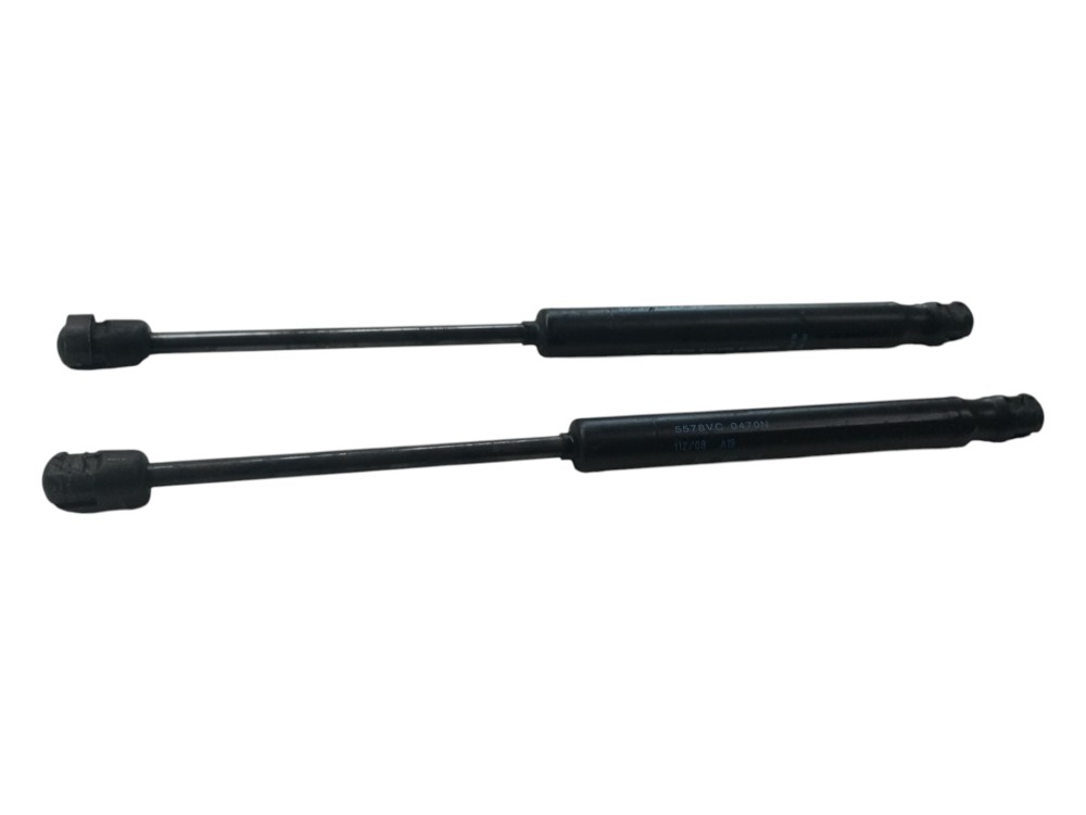 Amortecedor Porta Malas Peugeot 407 2005 2007 2010 Par Usado