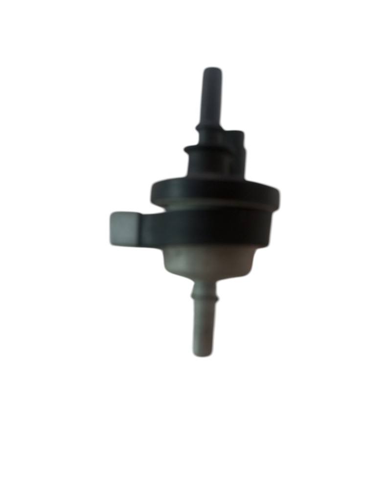 Valvula Canister Suporte Oroch 1.3 Turbo 2023 2024 Usado