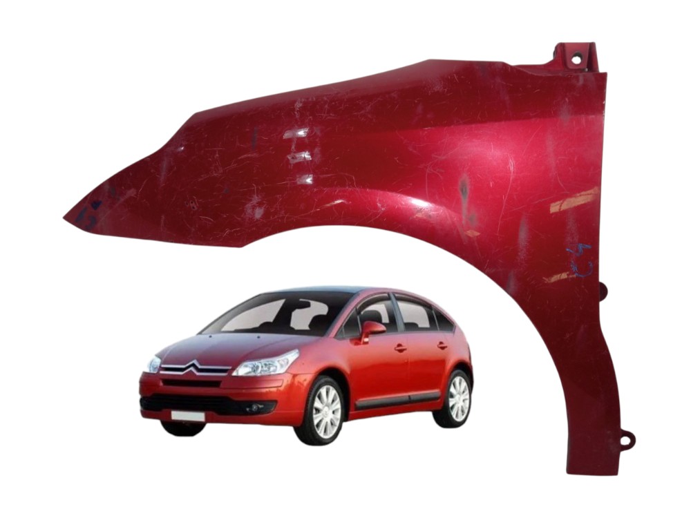 Paralama Dianteiro Esquerdo Citroen C4 2006 2012 Original 1