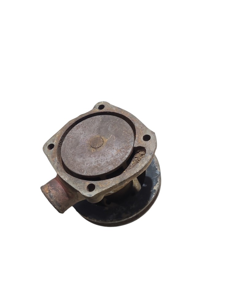 Bomba Agua Motor MWM 225 226 229 3