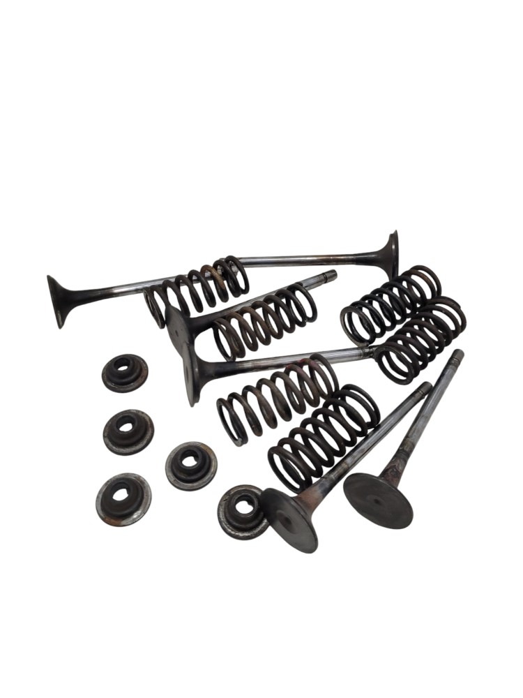 Kit Conjunto Valvula Cabecote Mb Axor 4