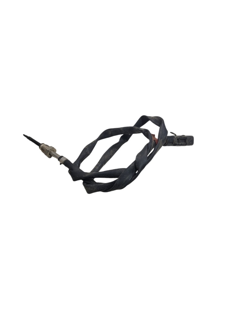 Sensor Temperatura Escape Volvo Fh 1