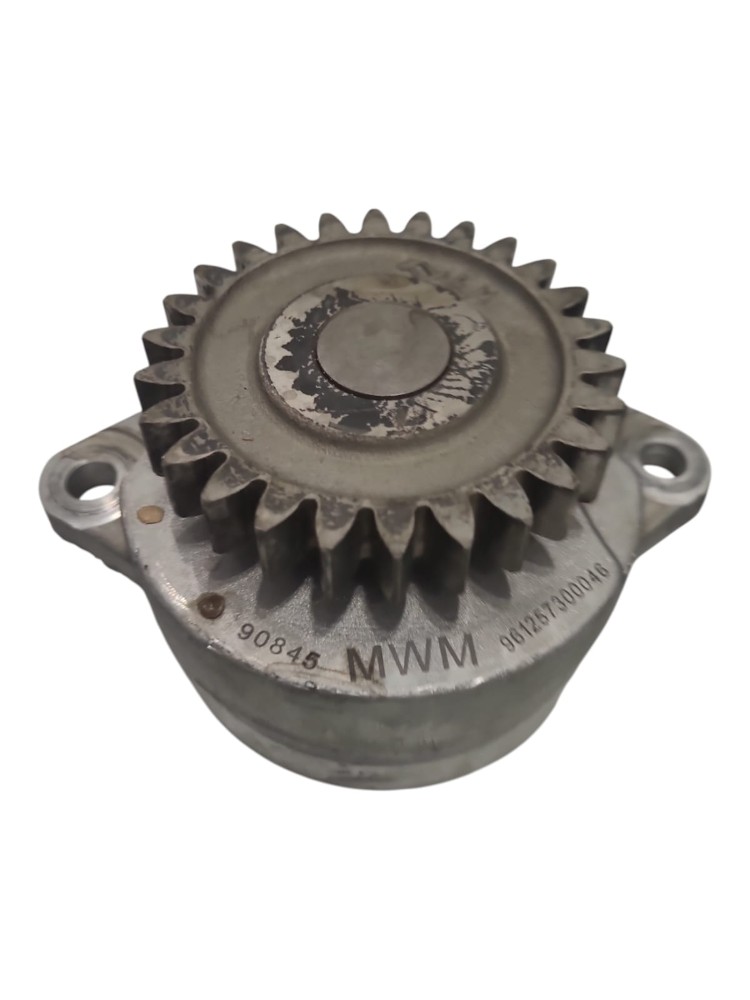 Bomba Oleo Motor Mwm 1