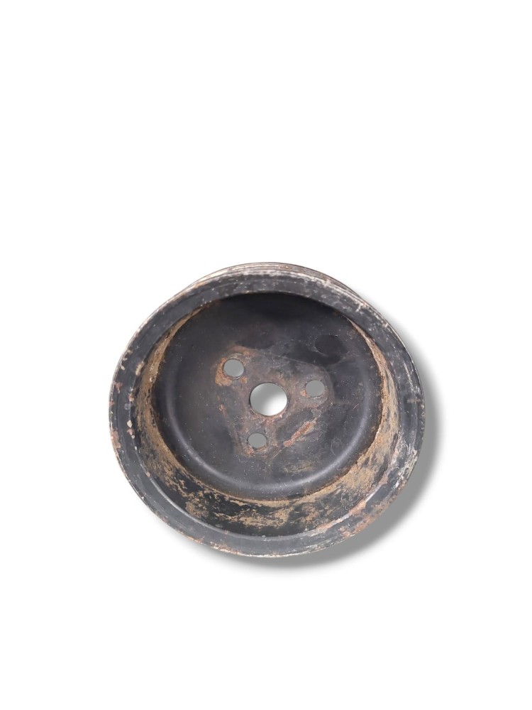 Polia Bomba Agua Vw Man 3