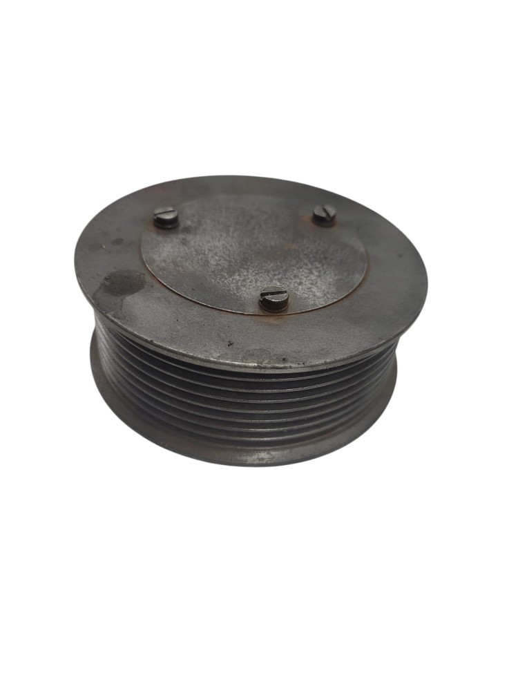 Polia Esticador Correia MWM 3