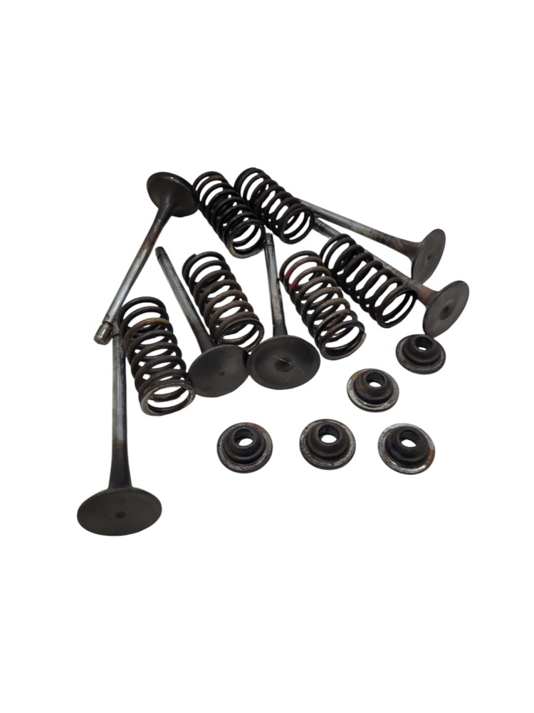 Kit Conjunto Valvula Cabecote Mb Axor 1