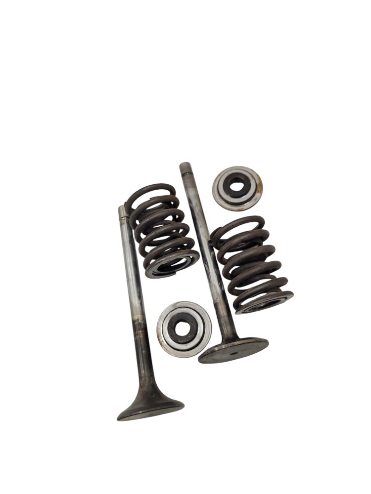 Kit Conjunto Valvulas Cabecote Volvo Nl  10 2