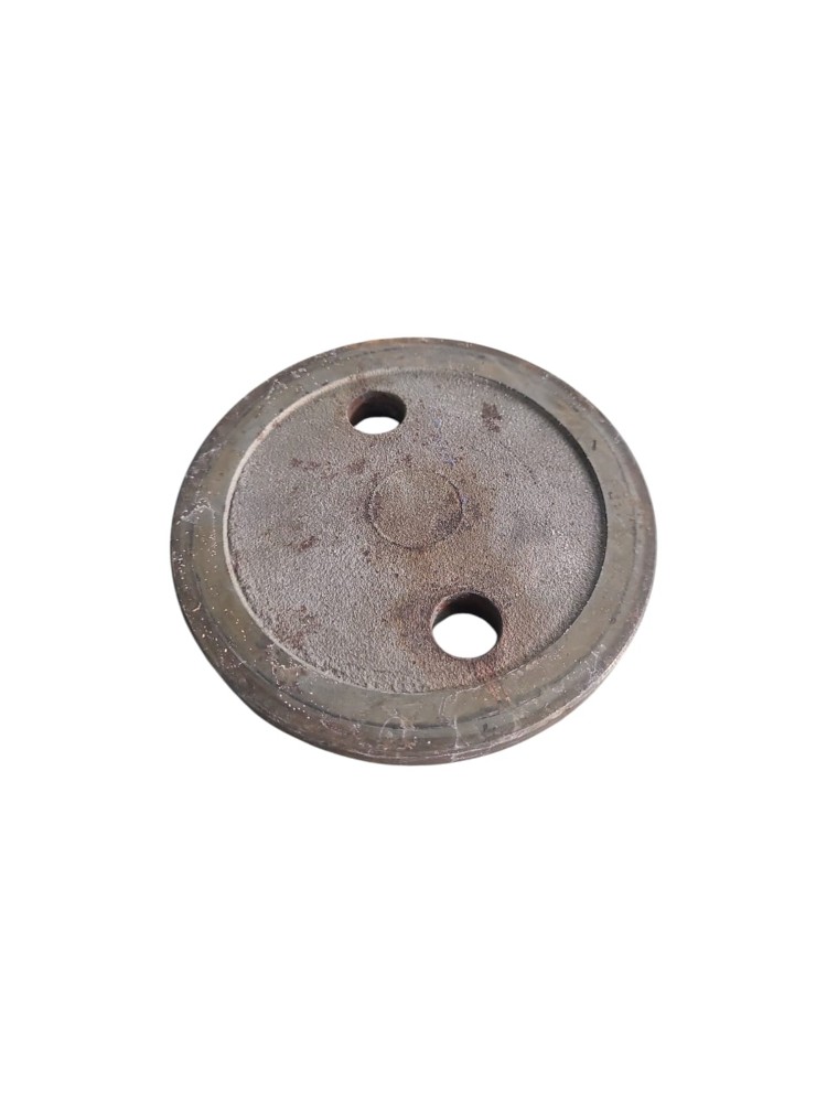 Flange Arruela Zf 1
