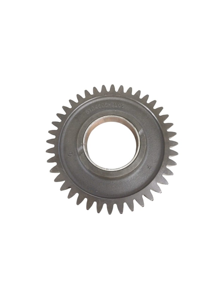 Engrenagem Motor Man Tgx 51045053065 5