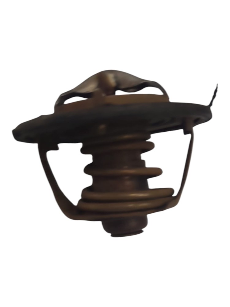 Valvula Termostatica Mb 5