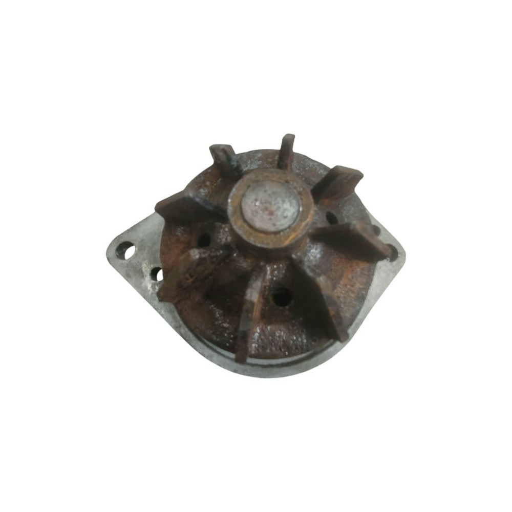 Bomba dÁgua MWM Motores S 10