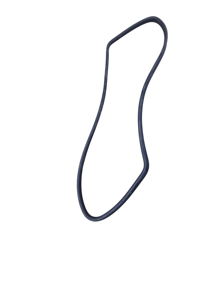 Borracha  Porta Vw 8150 2001