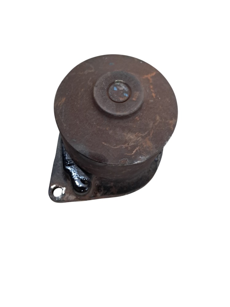 Bomba Agua Ford Cargo 815 1517 2