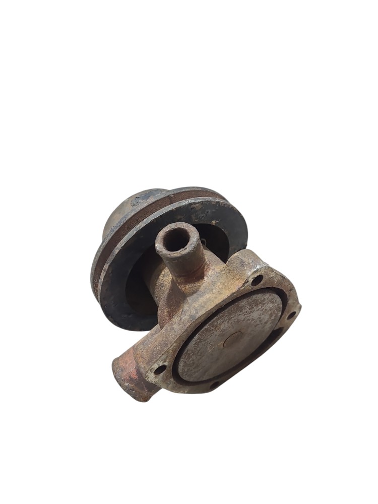 Bomba Agua Motor MWM 225 226 229 1