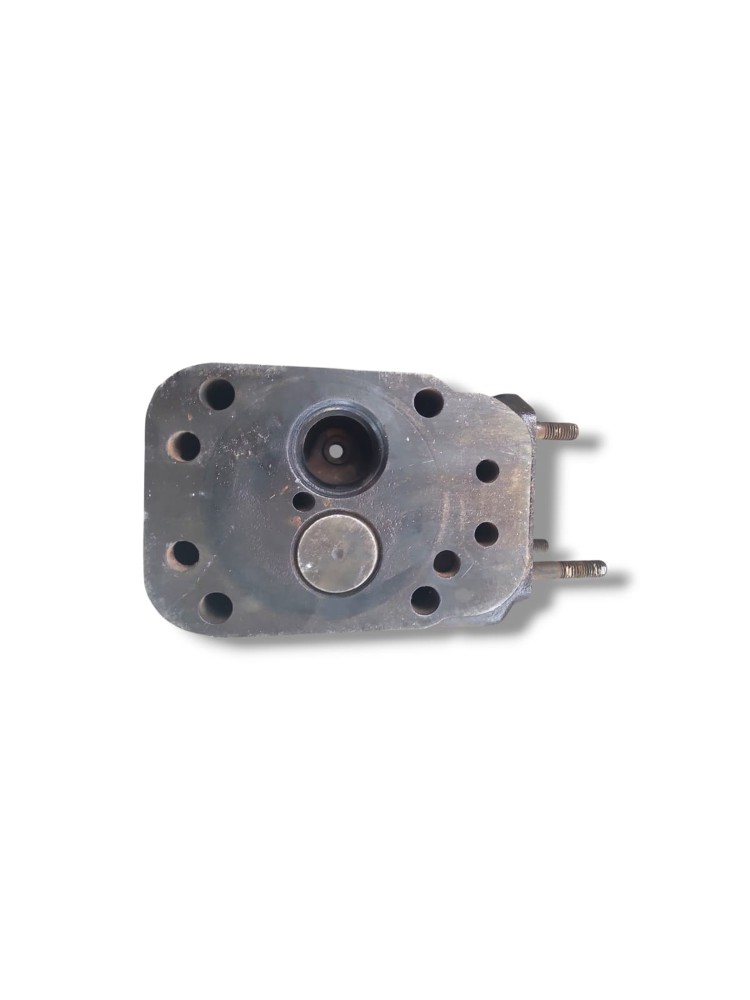 Cabecote Motor Mwm 220 2