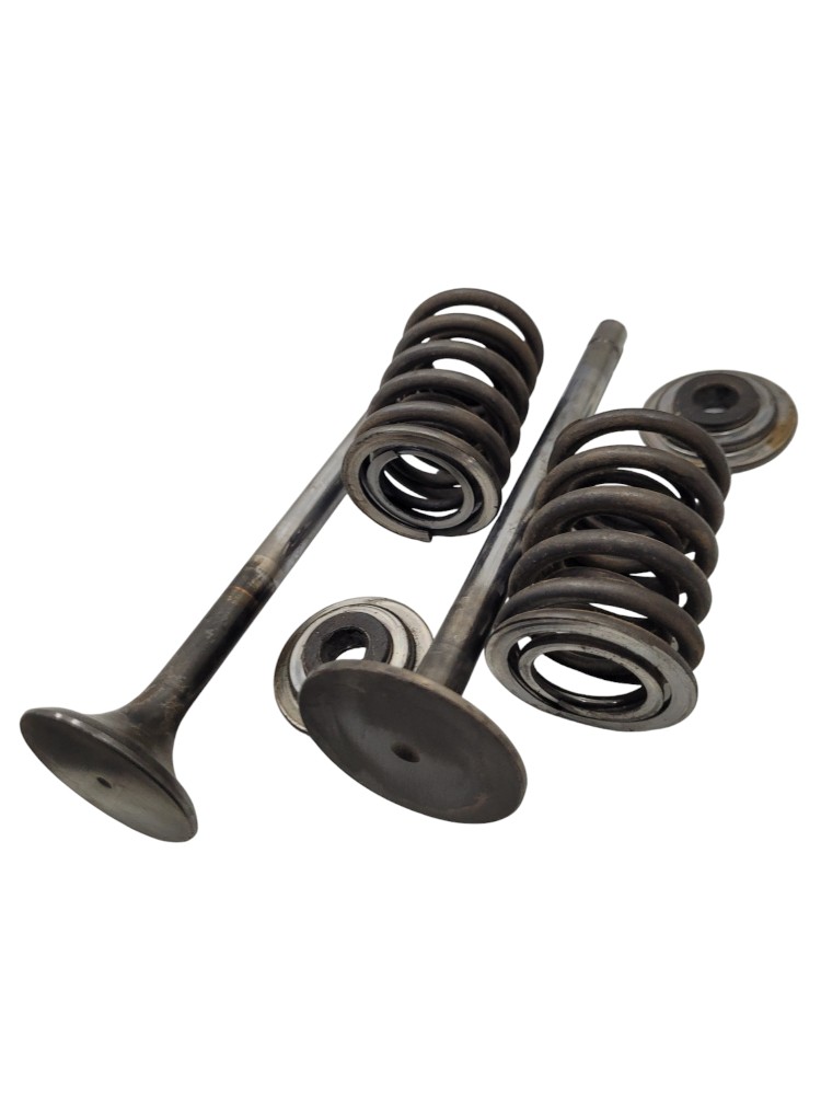 Kit Conjunto Valvulas Cabecote Volvo Nl  10 5