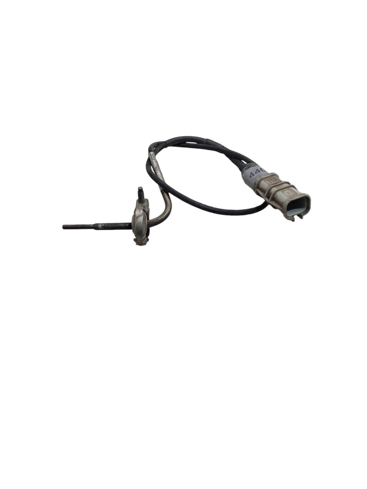 Sensor Temperatura Escape Man Tgx 5