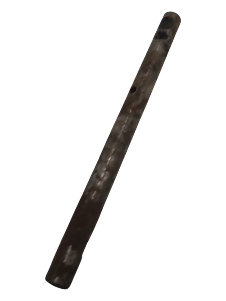 Haste Caixa Zf 4