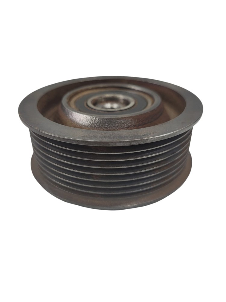 Polia Esticador Correia MWM 4