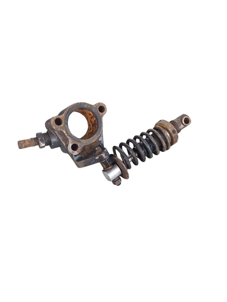 Amortecedor Ford Cargo 815 3