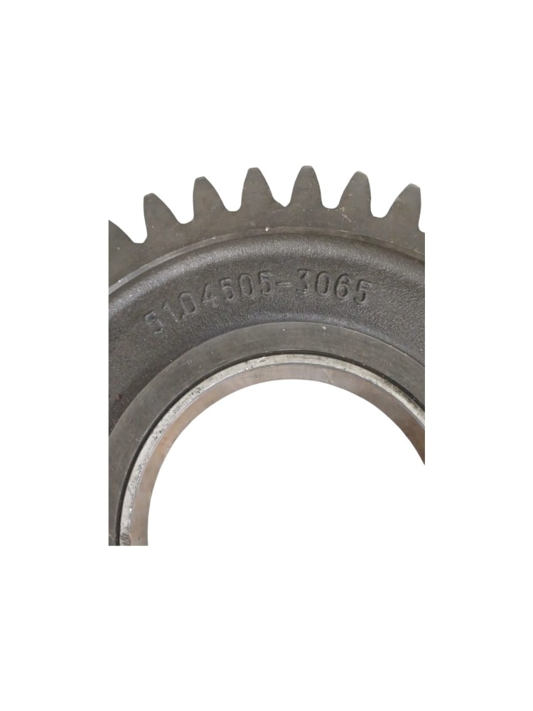 Engrenagem Motor Man Tgx 51045053065 7