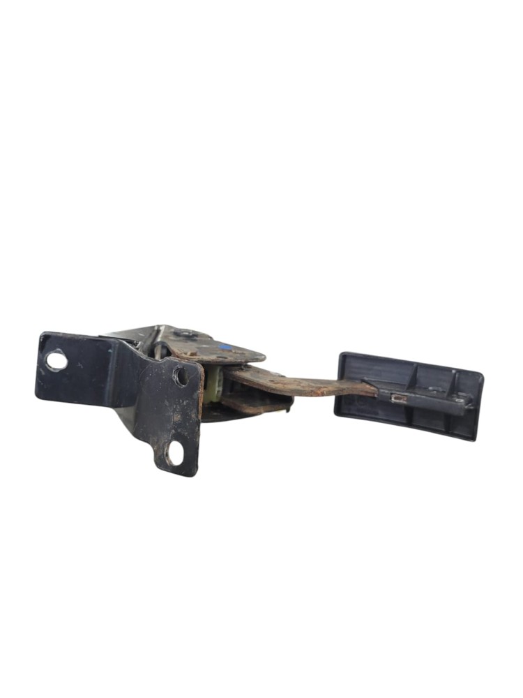 Pedal Acelerador Foton 1039 2020 A 2021