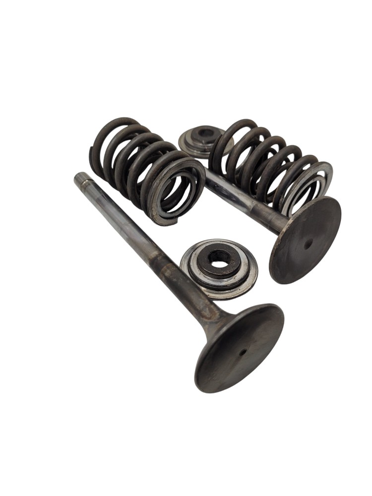 Kit Conjunto Valvulas Cabecote Volvo Nl  10 4