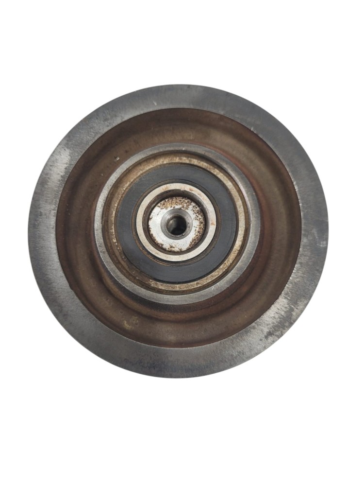 Polia Esticador Correia MWM 5