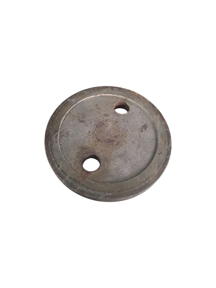 Flange Arruela Zf 7