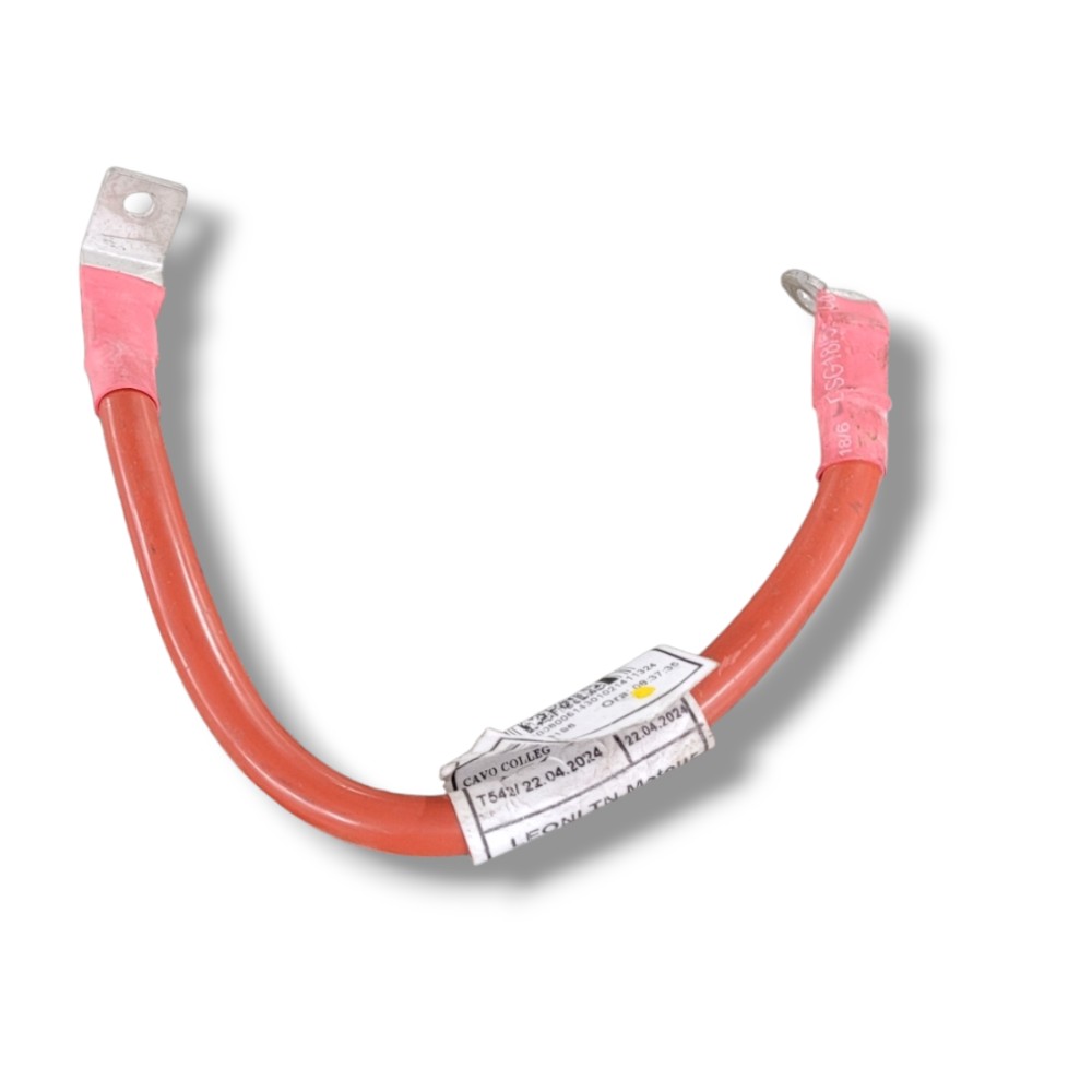 Cabo Bateria Fiat Ducato MaxiCargo 2024 2025 Vi131