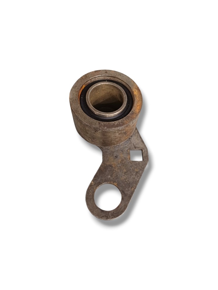 Rolamento Correia Dentada Sprinter 412 2.5