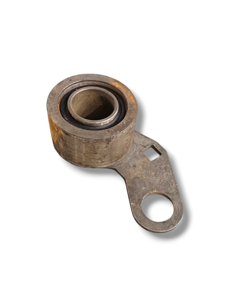 Rolamento Correia Dentada Sprinter 412 2.5