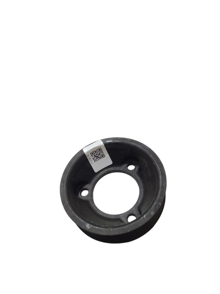 Polia Bomba Agua Master 2.3 210511238R