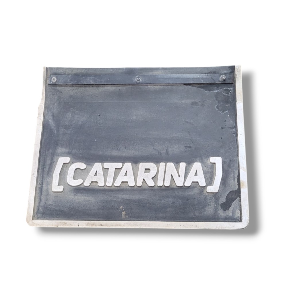 Tapete Lameiro Ford Transit 350 2023 2024 VI141