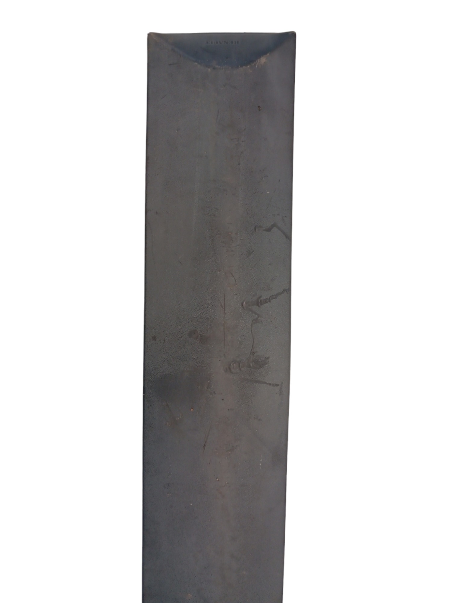 Friso Porta Traseira Esquerdo Renault Scenic 2000 4