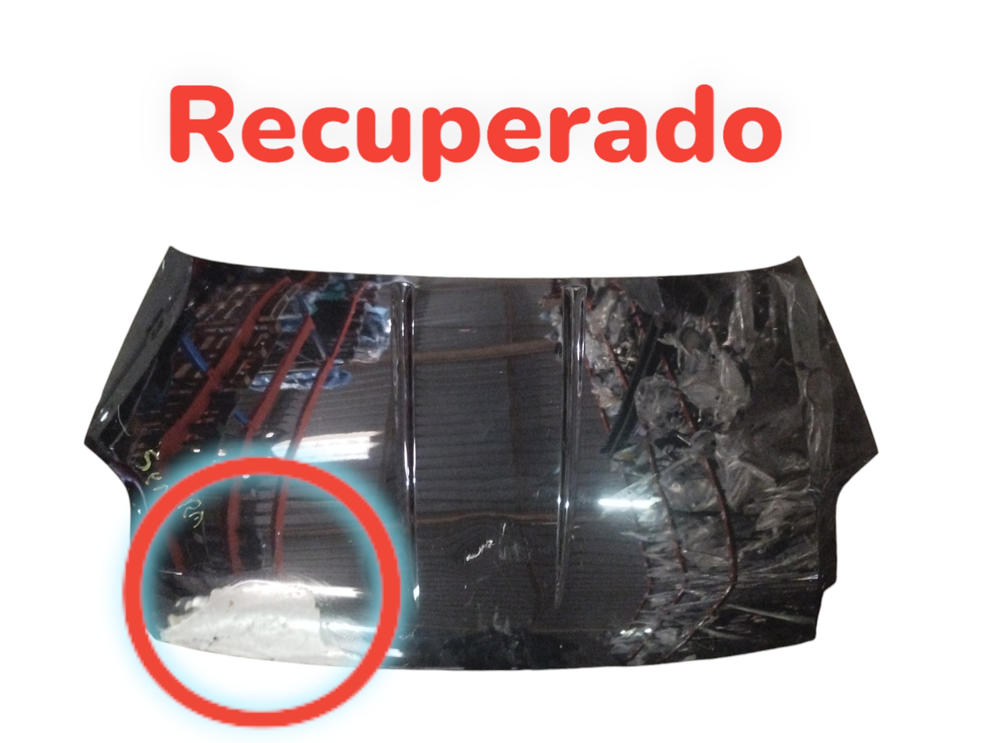 Capo Nissan Sentra 2007 2008 2009 2010 2011 2
