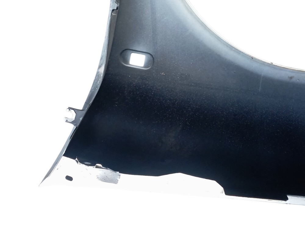 Paralama Dianteiro Direito Renault Clio 5