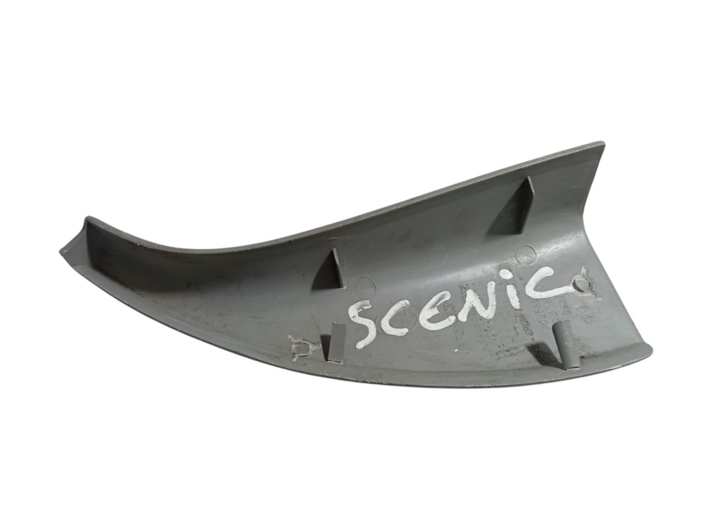 Moldura Acabamento Porta Traseira Renault Scenic 1