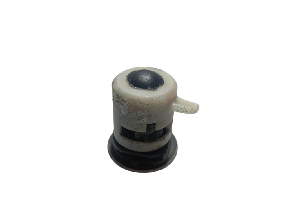 Cilindro Porta Dianteira Esquerda Fiat Palio 5