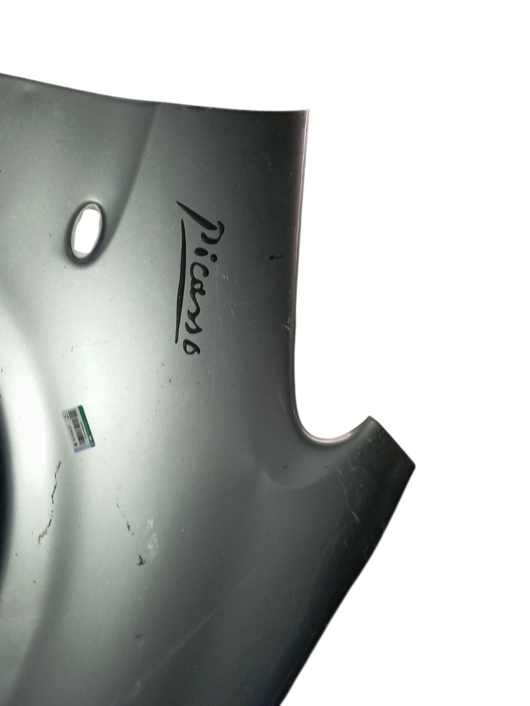 Paralama Dianteiro Direito Citroen Xsara Picasso 3