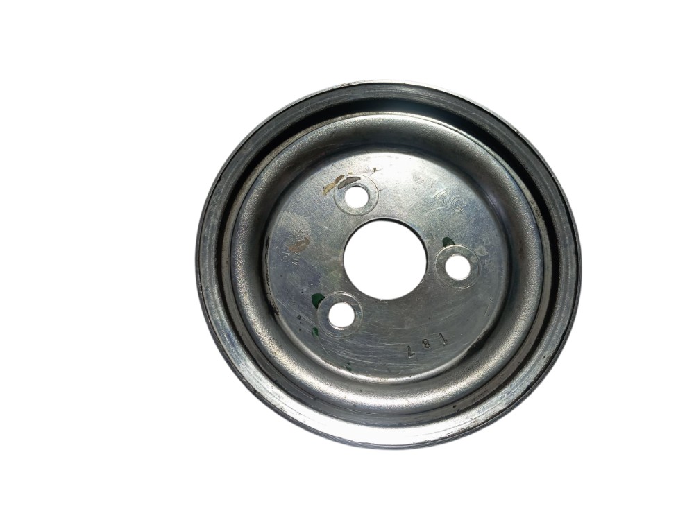 Polia Bomba Direção Hidráulica Fiat Palio 6