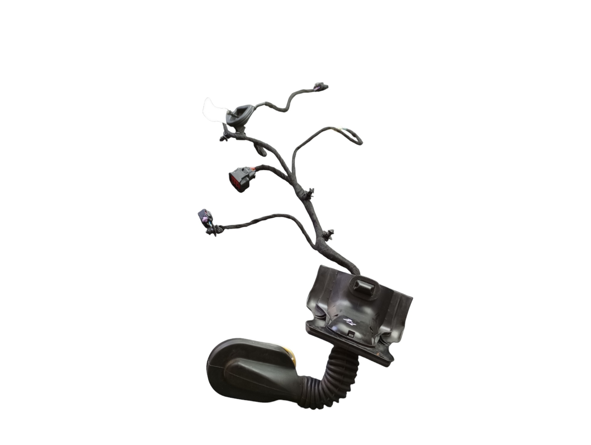 Chicote Porta T.e Rampage Rebel 2024 2