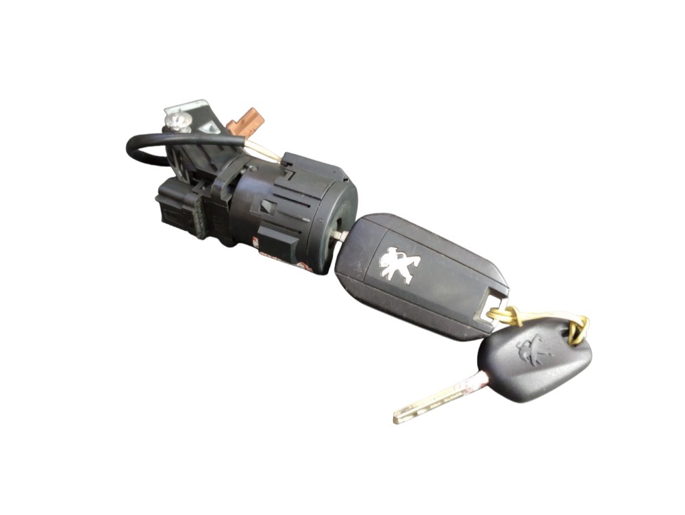 Cilindro De Ignição Peugeot Expert 1.6 2021 6