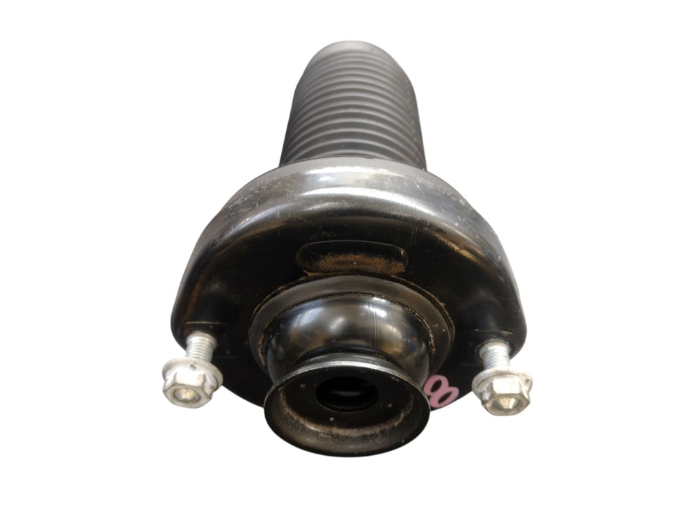 Coxim isolador mola T.E Freemont 2013