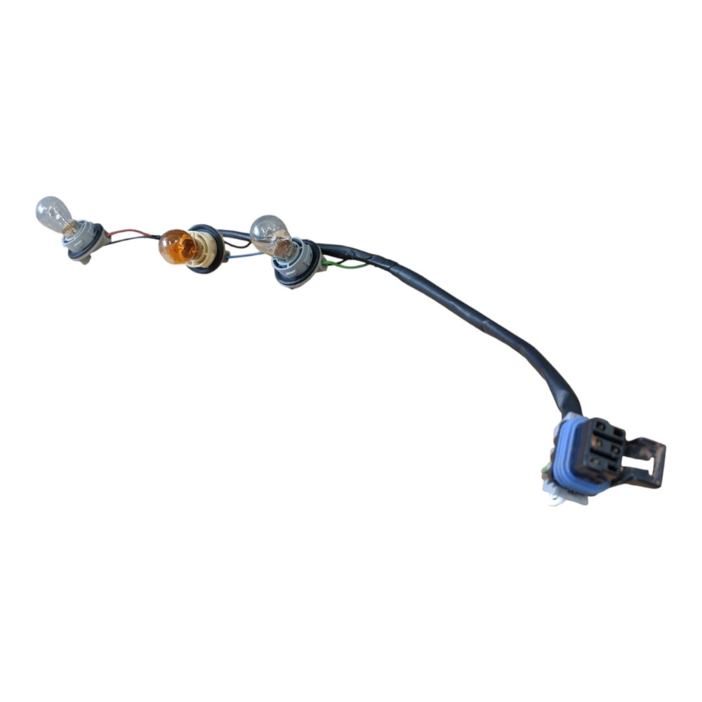 Chicote Lanterna T.d S10 2024