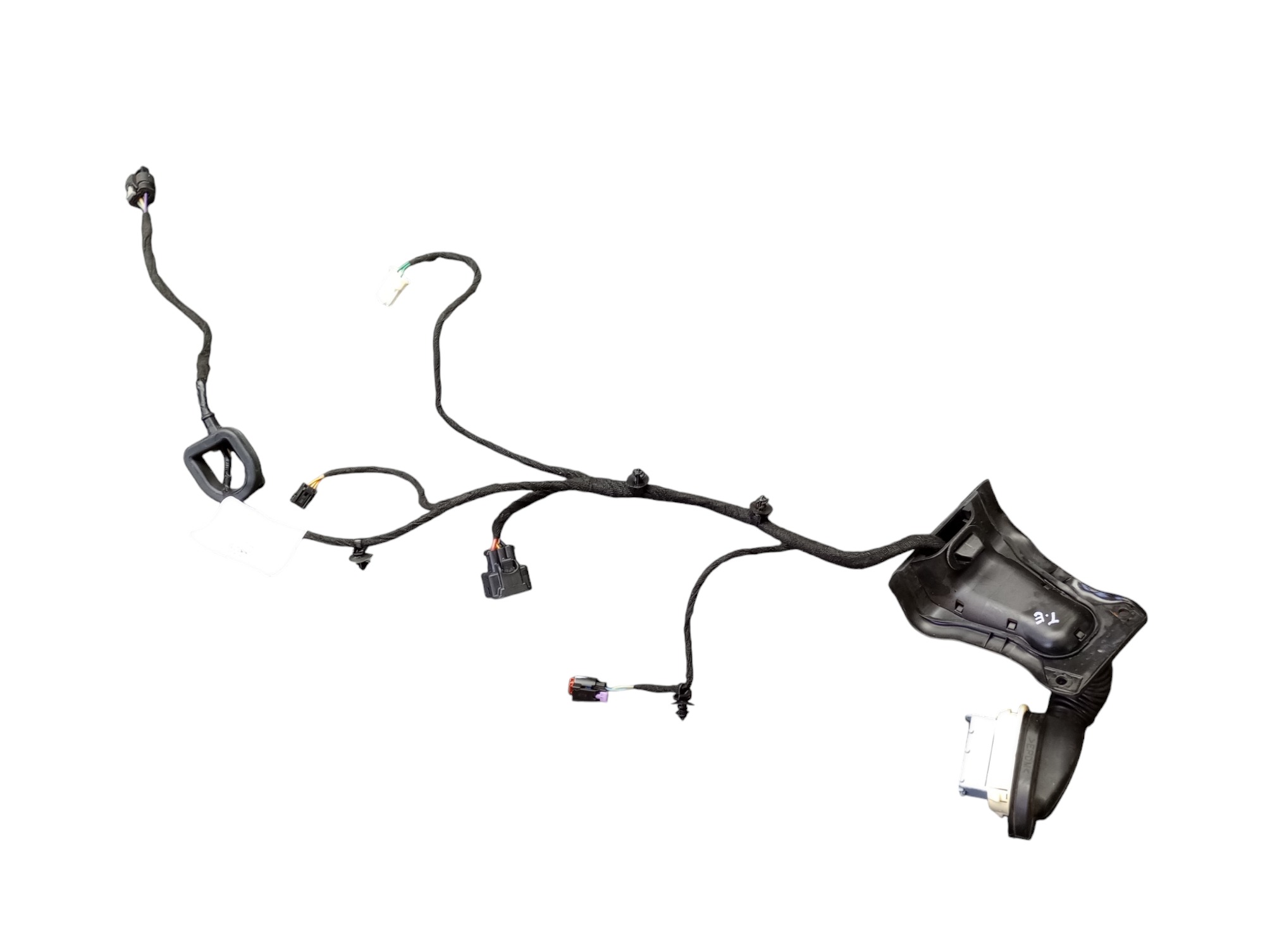 Chicote Porta T.e Rampage Rebel 2024 3